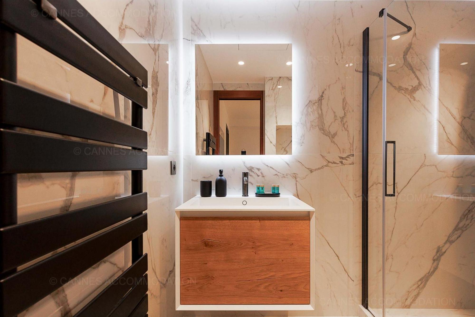 Apartment Gray 3e1 Cannes
