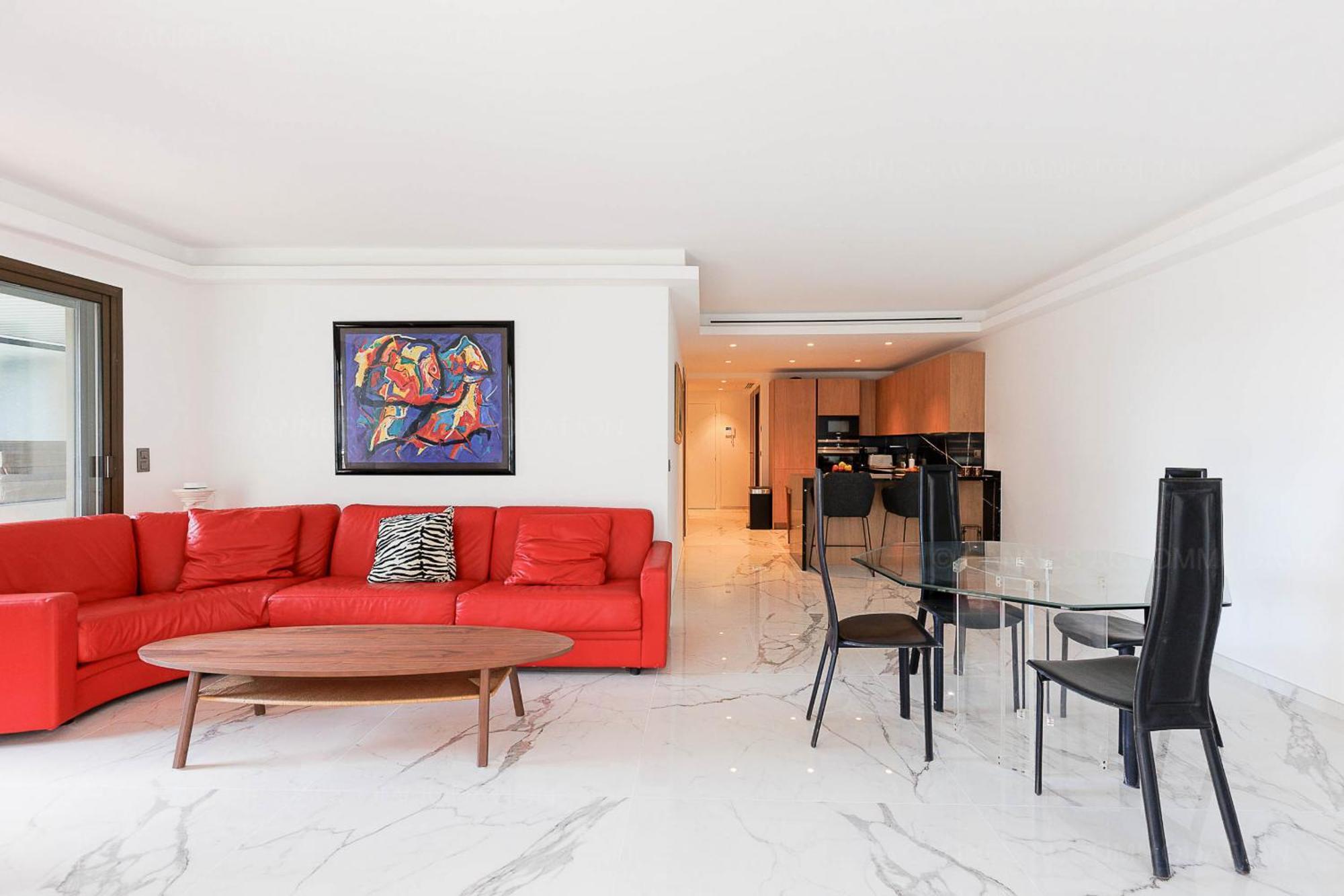 Apartment Gray 3e1 Cannes